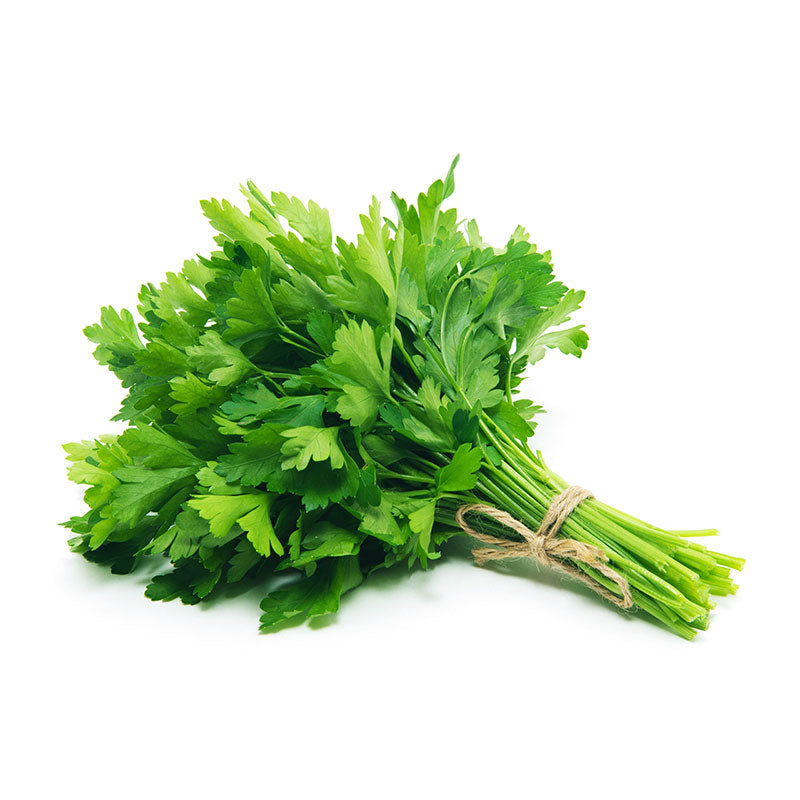 Giant of italy Parsley  Bunch