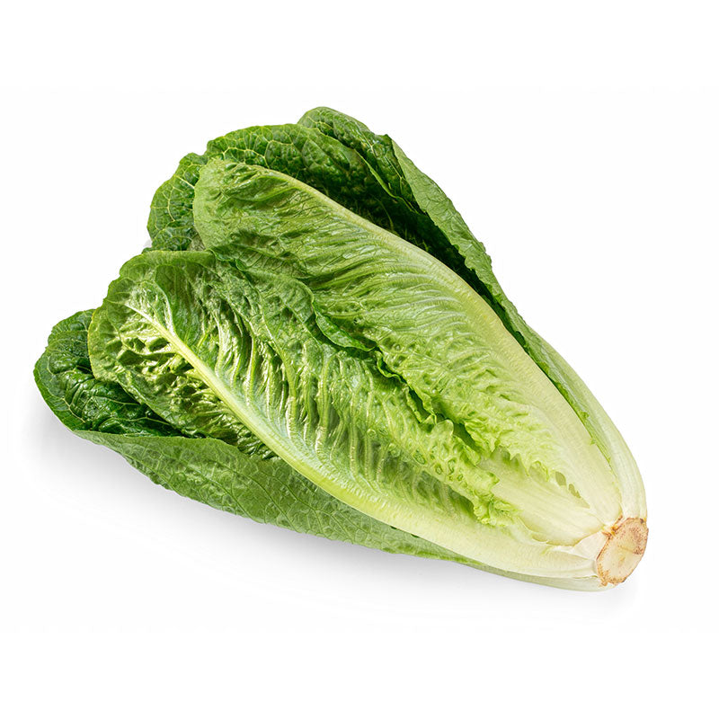 Romaine