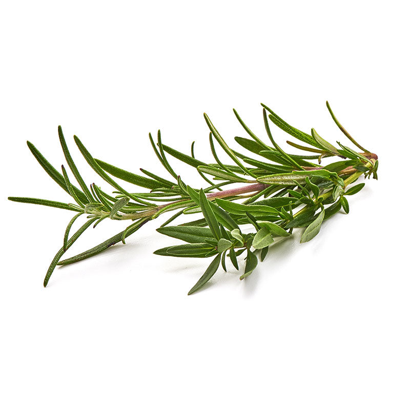 French Rosemary 30G